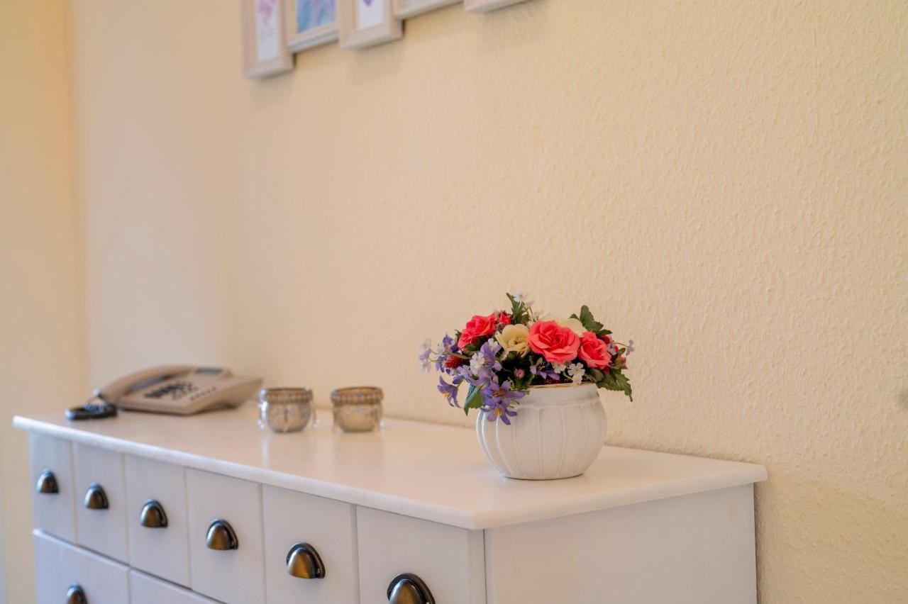 Helle Nichtraucherwohnung 69Qm Zwischen Koeln Und Duesseldorf Dormagen Ngoại thất bức ảnh